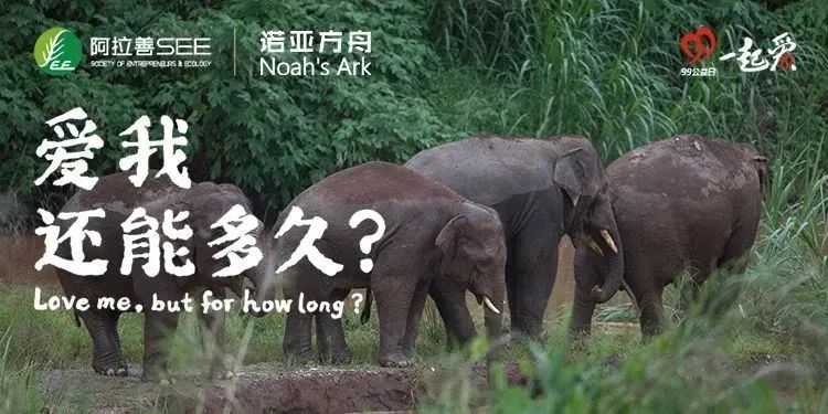 锐联集团受邀成为中国本土致力于生物多样性保护的外资资产管理公司